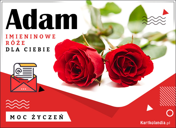 Róże z życzeniami dla Adama
