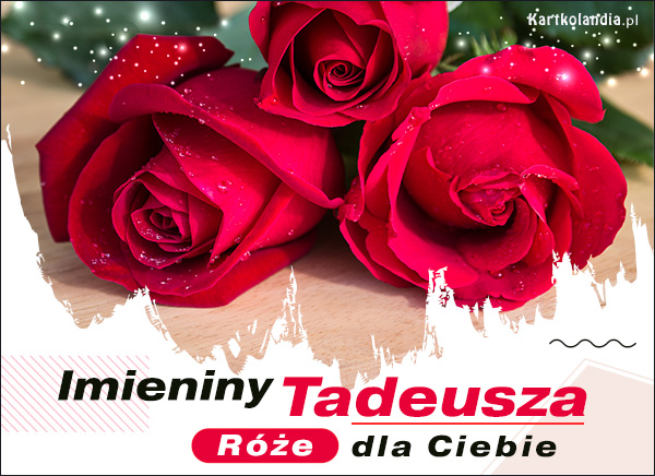 Tadeusz - Róże na Imieniny
