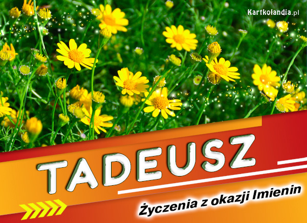Tadeusz - Życzenia z okazji Imienin
