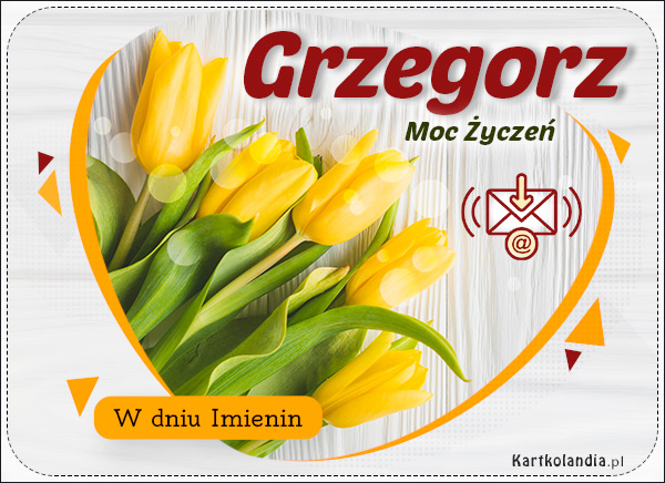 Tulipany z życzeniami dla Grzegorza