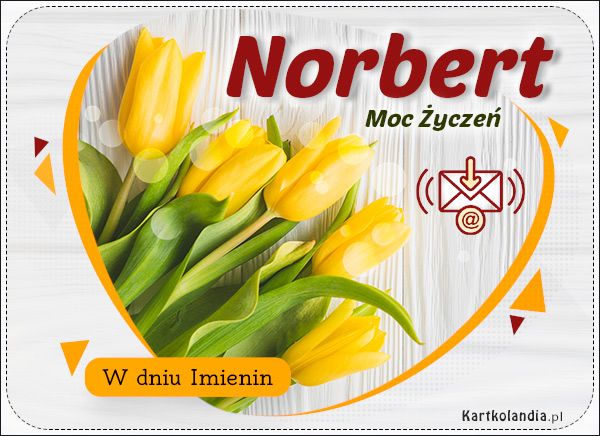 Tulipany z życzeniami dla Norberta