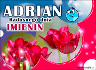 eKartki Kartki elektroniczne - e-Kartka dla Adriana Adrian - Radosnego dnia Imienin!, 