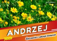 eKartki Kartki elektroniczne - Andrzej Andrzej - Życzenia z okazji Imienin, 