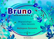 eKartki Kartki elektroniczne - e-Kartka imieninowa dla Bruna Bruno - Przyjmij życzenia!, 
