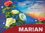 eKartki Imienne Męskie Bukiet róż dla Mariana, 