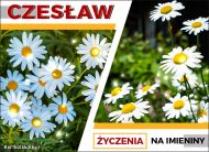 eKartki Imienne Męskie Czesław - Życzenia na Imieniny, 