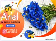 eKartki Kartki elektroniczne - Życzenia imieninowe dla Ariela Dzień Imienin Ariela, 