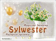 eKartki Kartki elektroniczne - e-Kartka imieninowa dla Sylwestra Dzisiaj Imieniny świętuje Sylwester, 