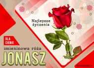 eKartki Kartki elektroniczne - e-Kartka dla Jonasza Imieninowa róża dla Jonasza, 
