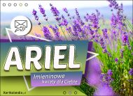 eKartki Kartki elektroniczne - Arielek Imieninowe kwiaty dla Ariela, 