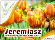 eKartki Imienne Męskie Imieninowe tulipany dla Jeremiasza, 