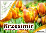 eKartki Imienne Męskie Imieninowe tulipany dla Krzesimira, 
