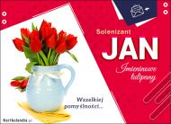 eKartki Imienne Męskie Jan - Tulipany dla Ciebie, 