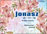 eKartki Kartki elektroniczne - Życzenia imieninowe dla Jonasza Jonasz - W dniu Imienin..., 