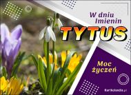 eKartki Imienne Męskie Kwiaty i życzenia dla Tytusa, 