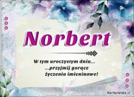 eKartki Kartki elektroniczne - Kartka imieninowa dla Norberta Norbert - Gorące Życzenia!, 