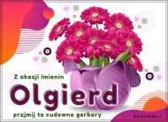 eKartki Kartki elektroniczne - Kartka imieninowa dla Olgi Olgierd - Kwiaty dla Ciebie, 