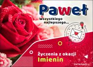 eKartki Imienne Męskie Paweł - Imieninowa róża dla Ciebie, 