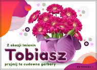 eKartki Kartki elektroniczne - e-Kartka imieninowa dla Tobiasza Tobiasz - Kwiaty dla Ciebie, 