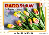 eKartki Imienne Męskie Tulipany na Imieniny dla Radosława, 