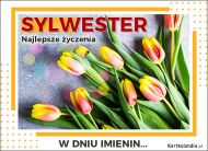 eKartki Kartki elektroniczne - e-Kartka imieninowa dla Sylwestra Tulipany na Imieniny dla Sylwestra, 