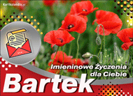 eKartki Kartki elektroniczne - Życzenia na imieniny Życzenia dla Bartka, 