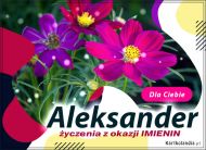 eKartki Kartki elektroniczne - e-Kartka dla Aleksandra Życzenia z okazji Imienin dla Aleksandra, 