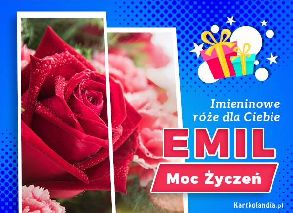 Emil - Róża na Imieniny dla Ciebie