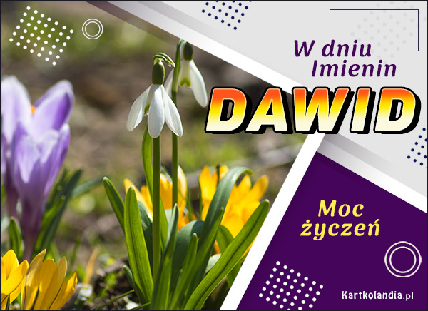 Kwiaty i życzenia dla Dawida