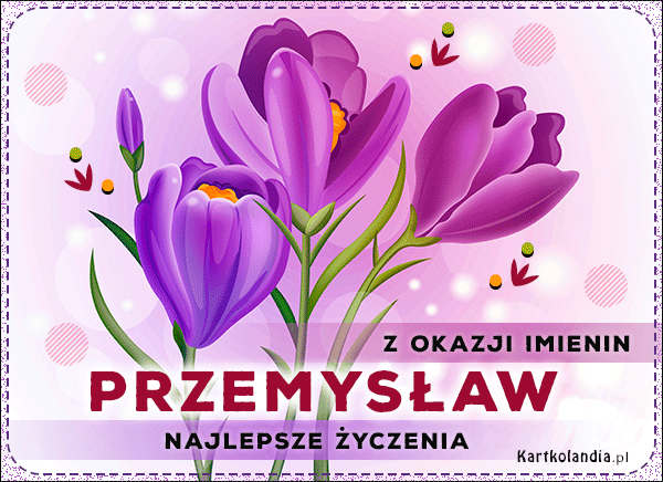 Przemysław - Kwiaty na Imieniny