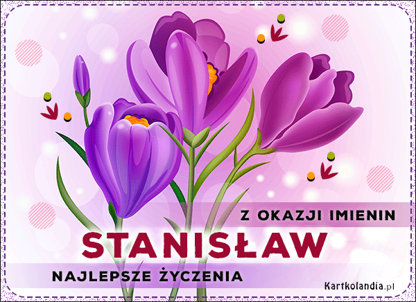 Stanisław - Kwiaty na Imieniny