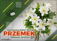 eKartki Kartki elektroniczne - Kartka na imieniny Bukiecik kwiatów dla Przemka, 