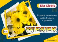 eKartki Kartki elektroniczne - Życzenia imieninowe Bukiet kwiatów dla Wieśka, 