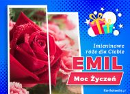 eKartki Kartki elektroniczne - Kartka na imieniny Emil - Róża na Imieniny dla Ciebie, 