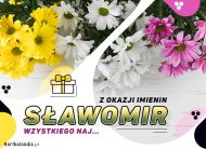 eKartki Kartki elektroniczne - 100 lat Imieniny Sławomira - Usłane kwiatami, 