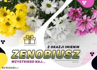 eKartki Imienne Męskie Imieniny Zenobiusza - Usłane kwiatami, 