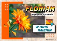 eKartki Kartki elektroniczne - e-Kartka imieninowa dla Floriana Kwiatek dla Floriana, 
