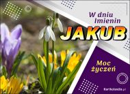 eKartki Kartki elektroniczne - e-Kartka na imieniny Kwiaty i życzenia dla Jakuba, 