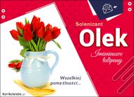 eKartki Kartki elektroniczne - e-Kartka imieninowa Olek - Tulipany dla Ciebie, 