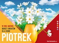 eKartki Kartki elektroniczne - e-Kartka na imieniny Piotrek - Bukiet kwiatów, 