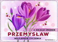 eKartki Imienne Męskie Przemysław - Kwiaty na Imieniny, 