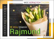 eKartki Kartki elektroniczne - Kartki kwiaty Rajmund - Tulipany na Imieniny, 