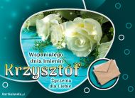 eKartki Kartki elektroniczne - Kartki kwiaty Róże dla Krzysztofa, 