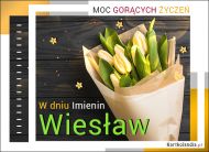 eKartki Kartki elektroniczne - Kartki kwiaty Wiesław - Tulipany na Imieniny, 