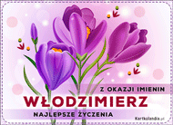 eKartki Elektroniczne Włodzimierz - Kwiaty na Imieniny, 