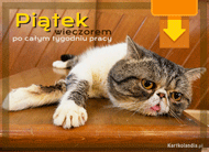 eKartki Kartki elektroniczne - e-Kartka z kotem Piątek wieczorem..., 