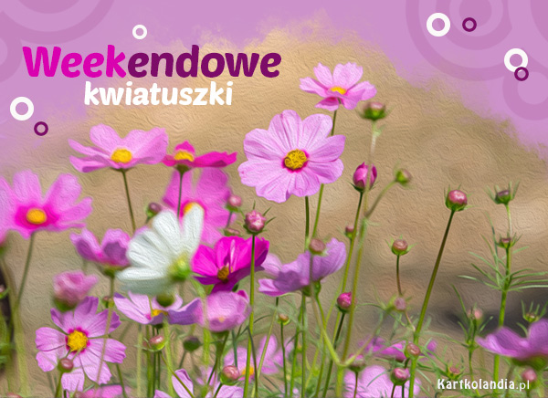 Weekendowe kwiatuszki