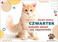 eKartki Kartki elektroniczne - Kot Czwartek - Milutki dzień się zapowiada!, 