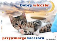 eKartki Kartki elektroniczne - Kot Dobry wieczór przyjemnego wieczoru!, 