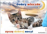 eKartki Kartki elektroniczne - Kot Dobry wieczór życzę dobrej nocy!, 